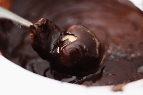 Peanut butter ball dipped in melted chocolate